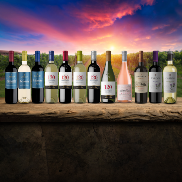 Picture of Santa Rita Essentials Wine Selection 