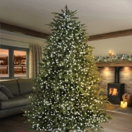 Picture of 7ft Prem Tree + 1000 White Treebrights