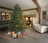 Picture of 6ft Prem Tree + 750 Multicolour LED's