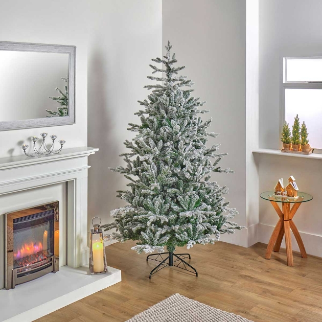 Picture of 7ft Kenilworth Spruce