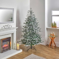 Picture of 8ft Kenilworth Spruce