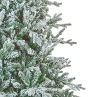 Picture of 8ft Kenilworth Spruce