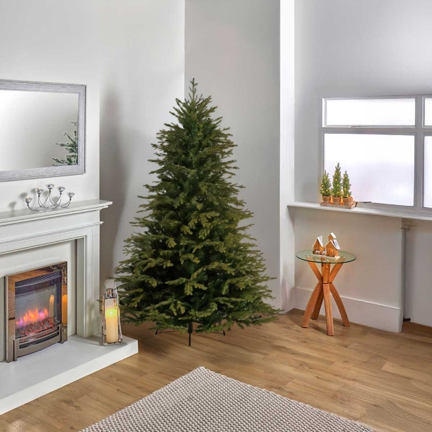 Picture of 6ft Dorchester Spruce