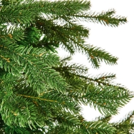 Picture of 8ft Dorchester Spruce