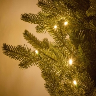 Picture of 1.5m Potted Eldon Fir 180 LEDs
