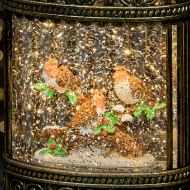 Picture of 24cm Lit Robin Scene Water Spinner