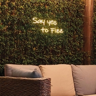 Picture of Say Yes to Fizz Neon Wall Sign